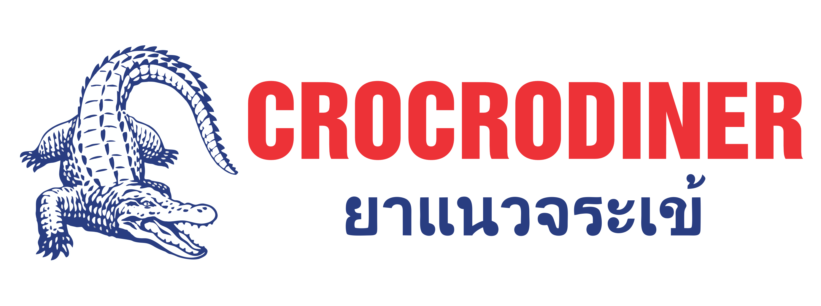 Tổng quan về công ty